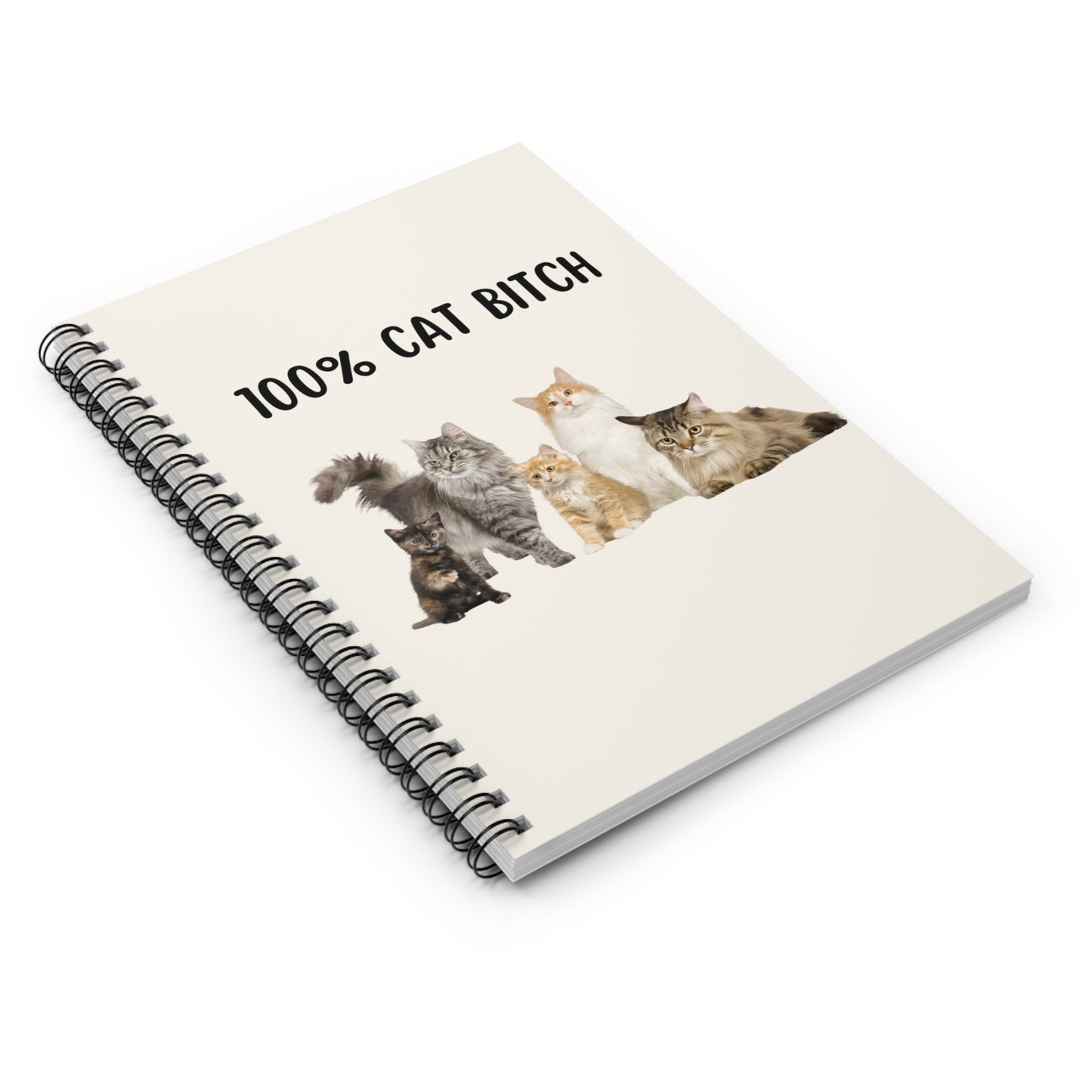 100% Cat B*tch Notebook, Funny Cat Notebook, Coworker Office Gifts, Cats Journal, Kawaii Cat Stationery