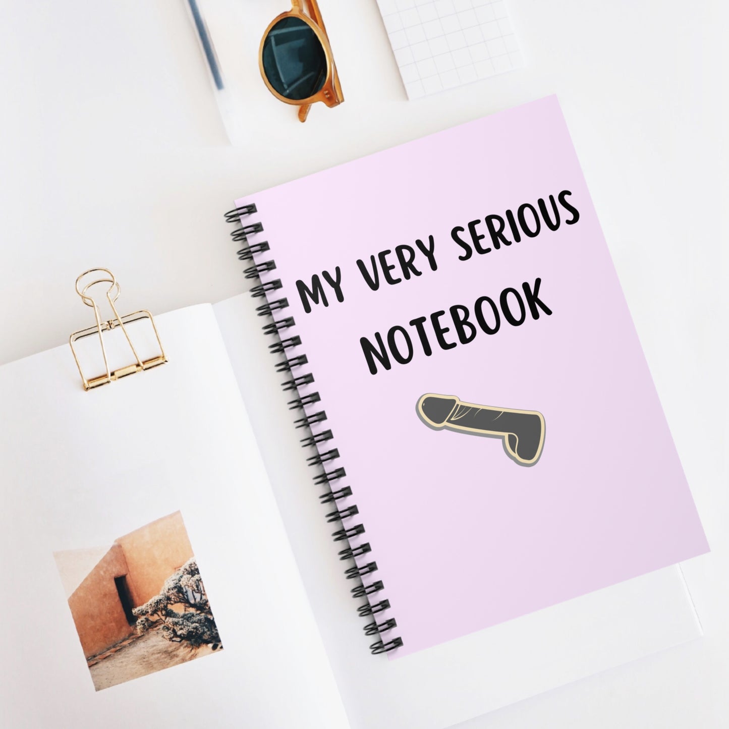 My Very Serious Notebook, Funny Penis Notebook, Funny Notebook Gift, Funny Coworker Gift, Hilarious Office Notebook, Work Colleague Mature