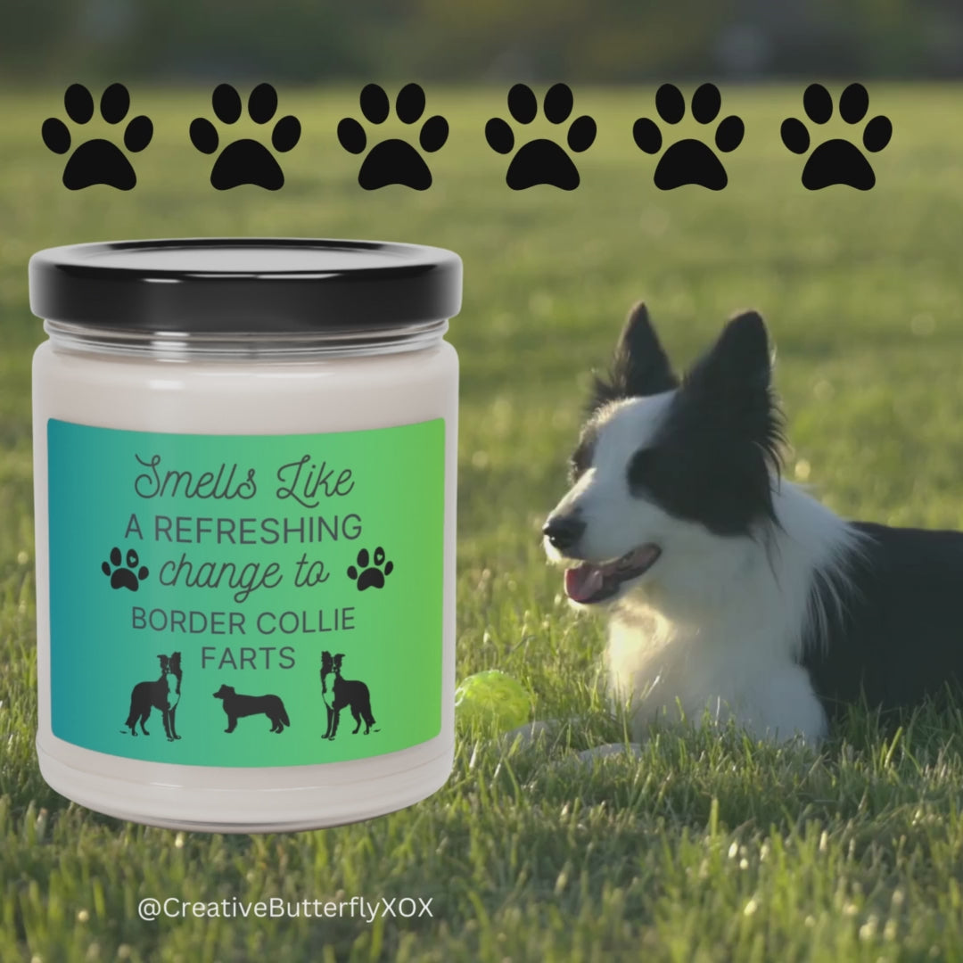 Border Collie Candle Video | Smells Like a Refreshing Change to Border Collie Farts | Funny Gift Idea for Dog Owners