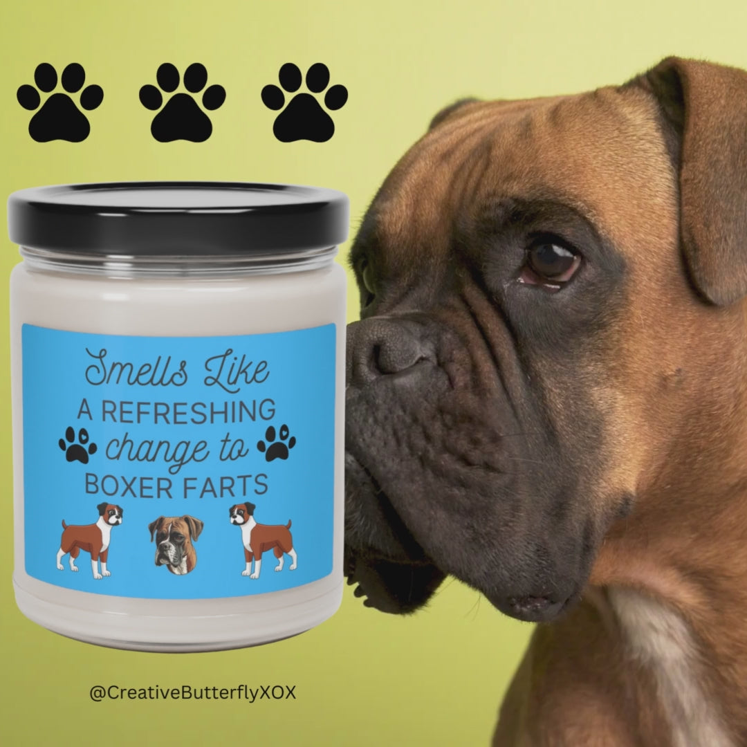 Boxer Dog Candle Video | Smells Like a Refreshing Change to Boxer Farts | Funny Gift for Boxer Owners